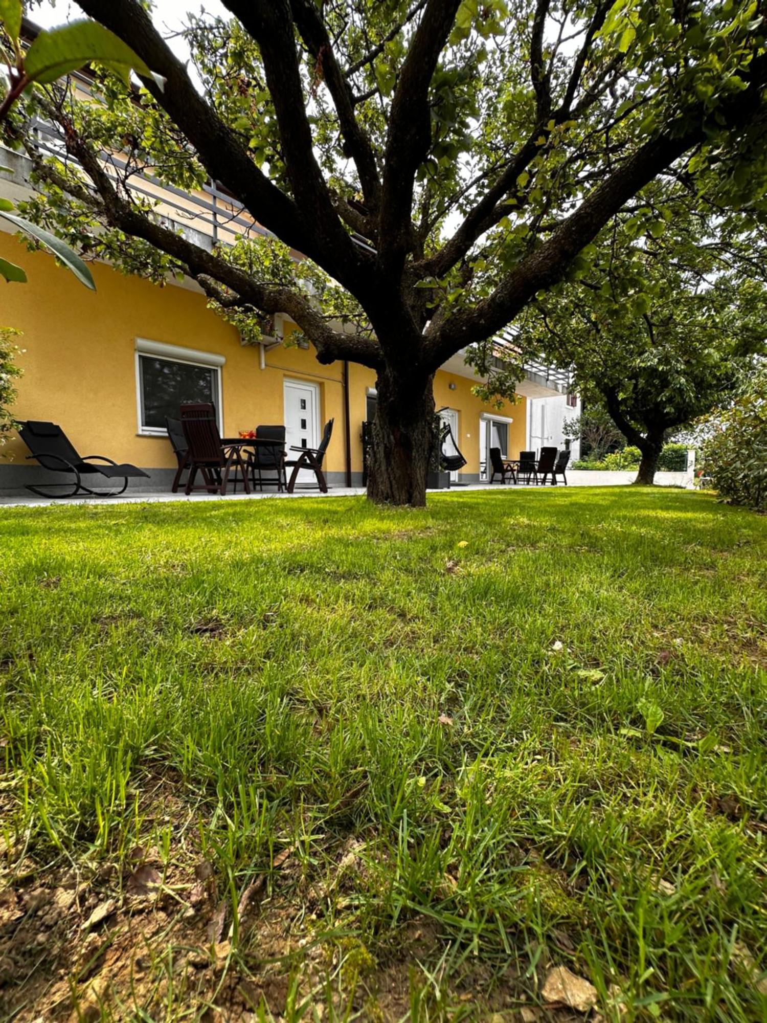 Riad Apartments Zgornje Skofije ภายนอก รูปภาพ